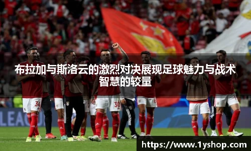 贝博BB官网